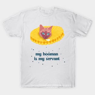 Cat Lover Illustration T-Shirt